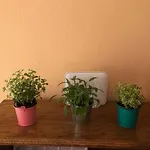 Fafandjel Apartment *