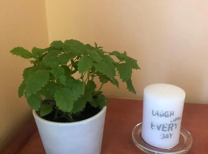 Fafandjel Appartement