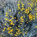 Fafandjel Апартаменты Раб