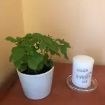 Fafandjel Appartamento