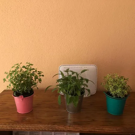 Fafandjel Apartament *